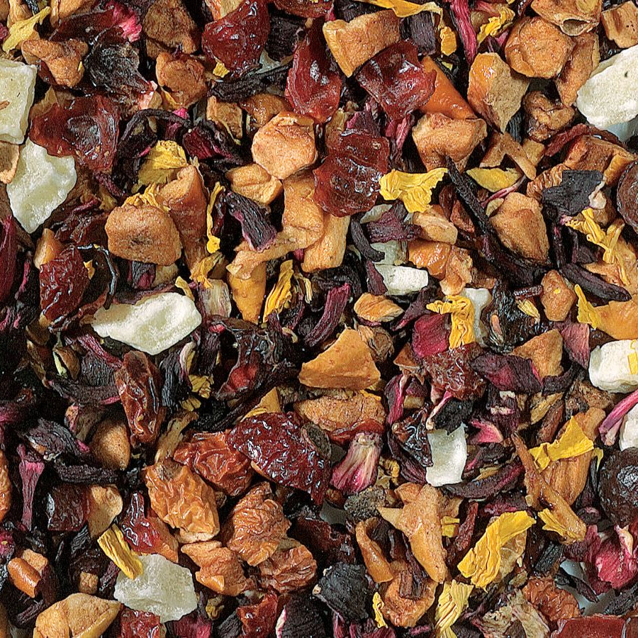 First Day of Christmas