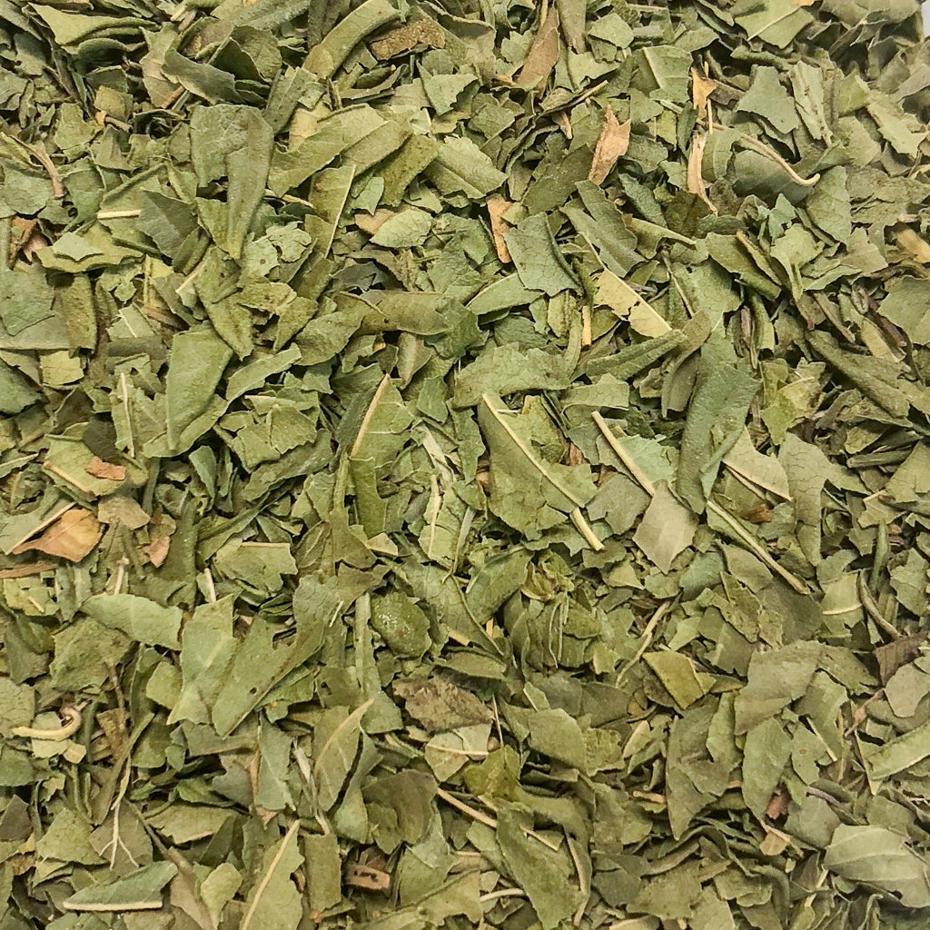 Lemon Verbena - Tea and Chi