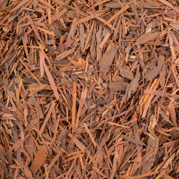 Lapacho – Tea and Chi