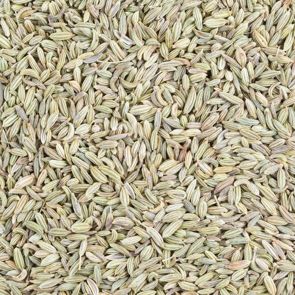 Fennel Seeds - Tea and Chi